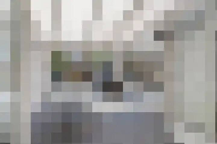 Vilsterendreef 14 Helmond thumbnail 11