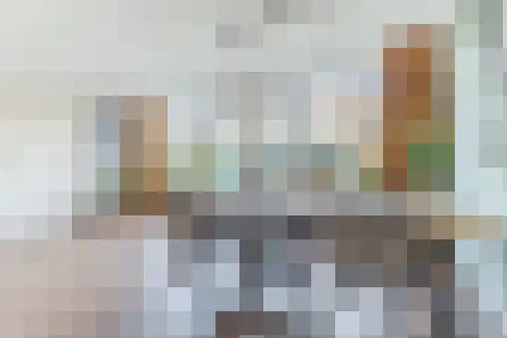 Vilsterendreef 14 Helmond thumbnail 14