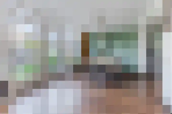 Vilsterendreef 14 Helmond foto 3