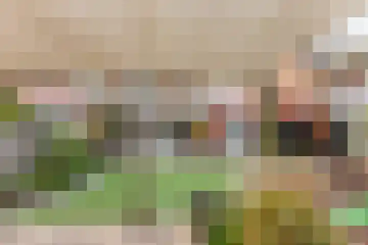 Vilsterendreef 14 Helmond thumbnail 34