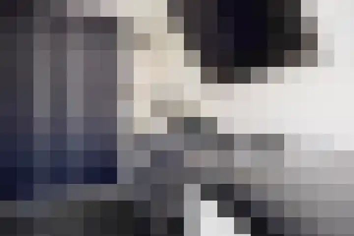 Vilsterendreef 14 Helmond thumbnail 36