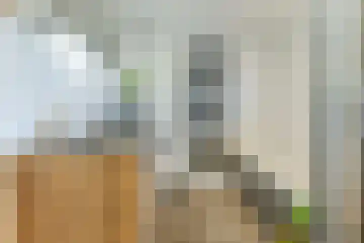 Vilsterendreef 14 Helmond thumbnail 4