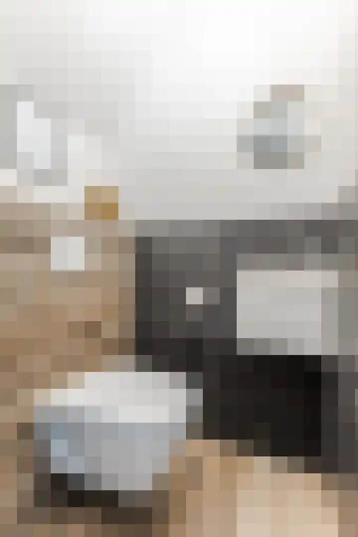 Vilsterendreef 14 Helmond thumbnail 9