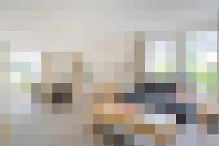 Vilstersestraat 31 Lemelerveld thumbnail 12