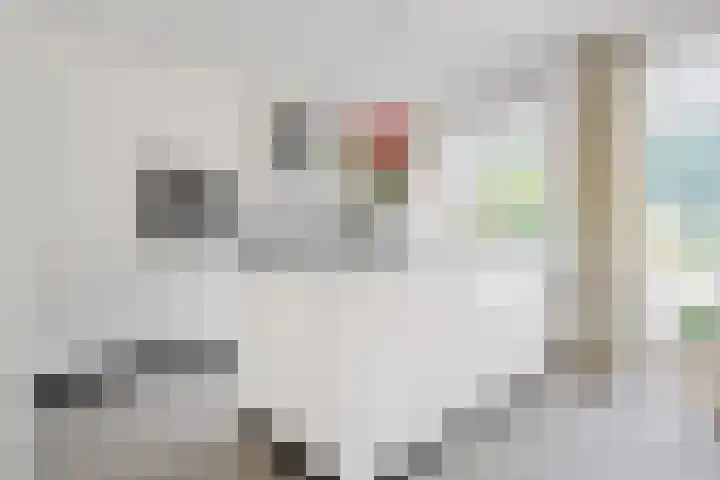 Vilstersestraat 31 Lemelerveld thumbnail 17