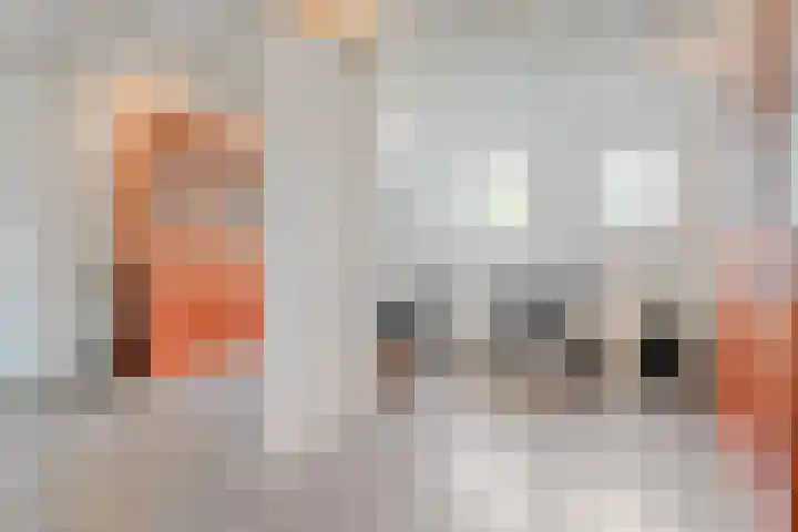 Vilstersestraat 31 Lemelerveld thumbnail 22