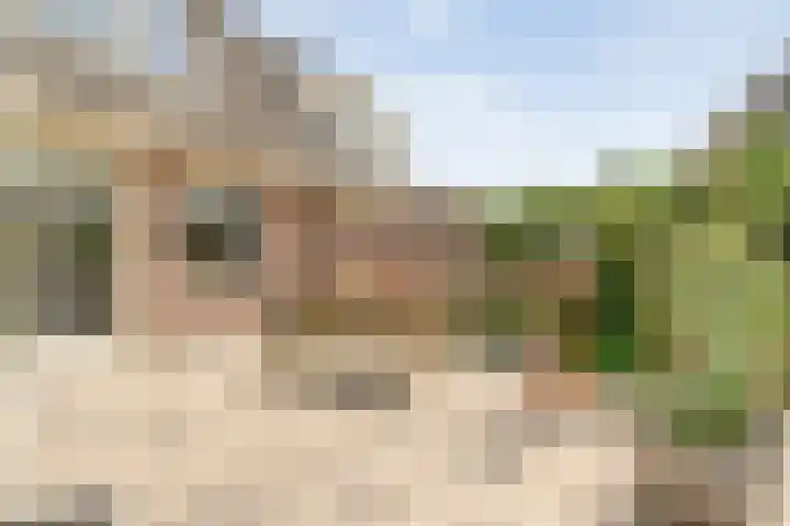 Vilstersestraat 31 Lemelerveld thumbnail 37