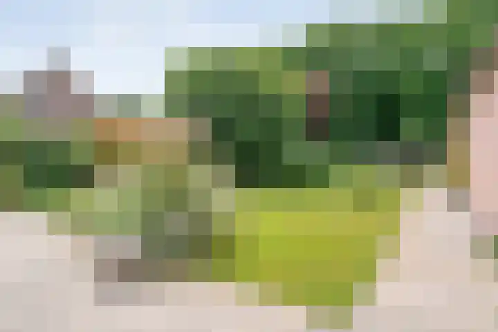 Vilstersestraat 31 Lemelerveld thumbnail 38