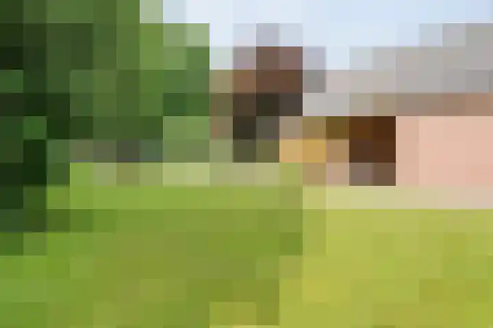 Vilstersestraat 31 Lemelerveld thumbnail 39