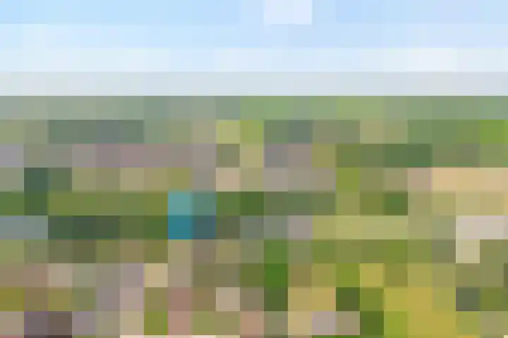 Vilstersestraat 31 Lemelerveld thumbnail 4