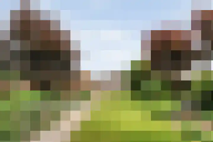 Vilstersestraat 31 Lemelerveld thumbnail 45