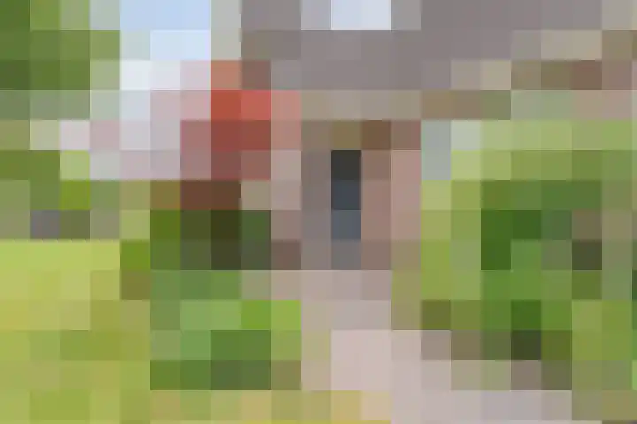 Vilstersestraat 31 Lemelerveld thumbnail 5