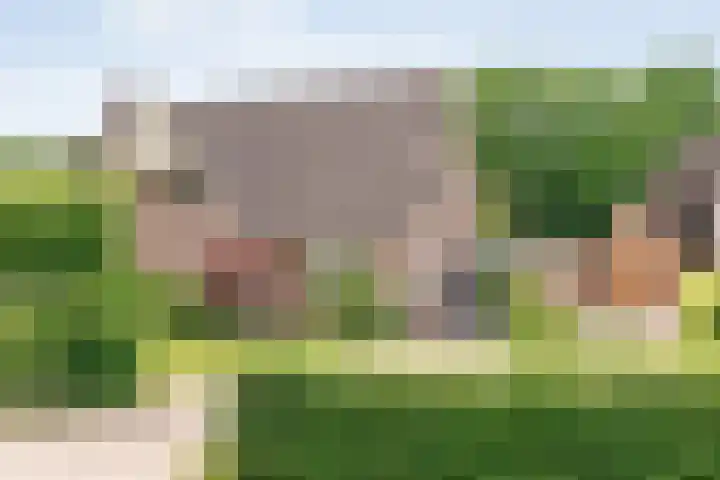 Vilstersestraat 31 Lemelerveld thumbnail 6