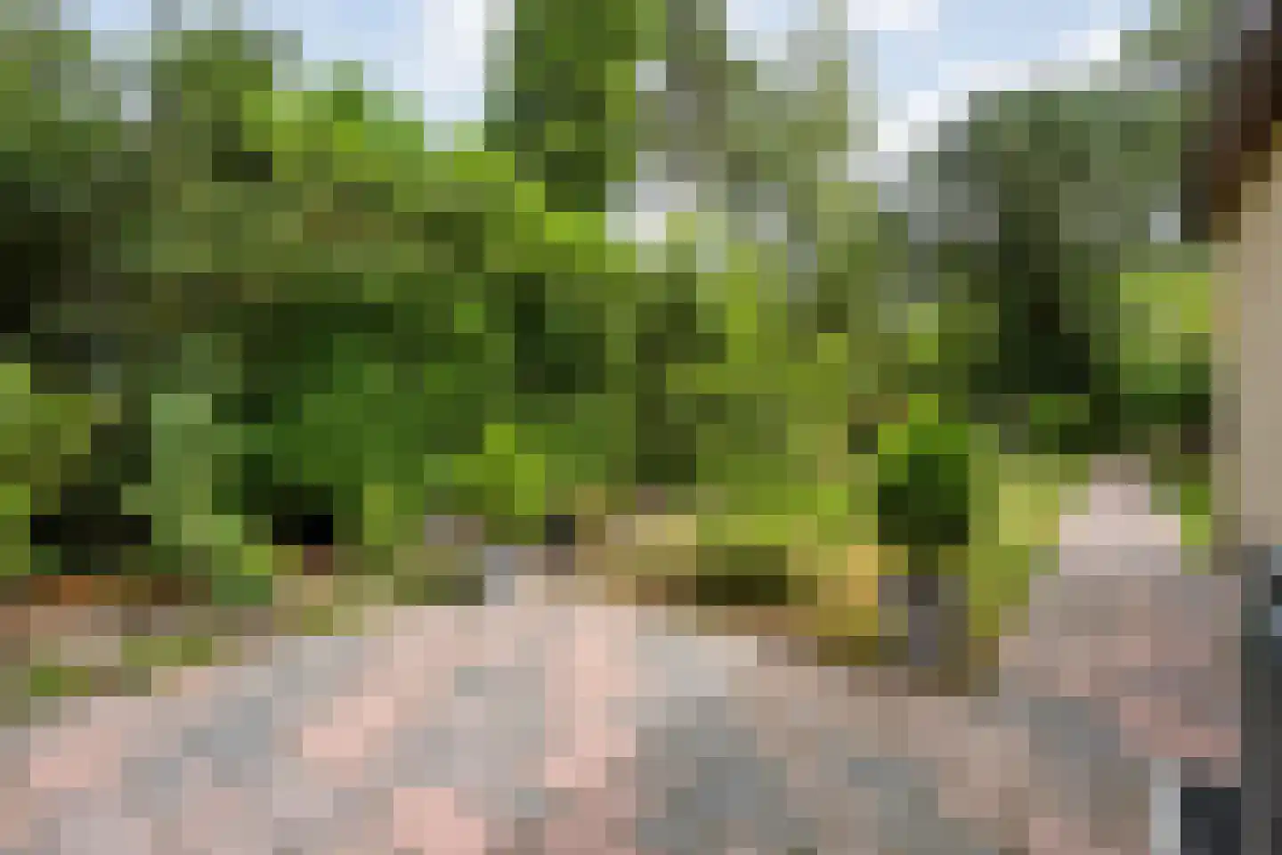 Vilsterseweg 1 A58 Vilsteren thumbnail 33
