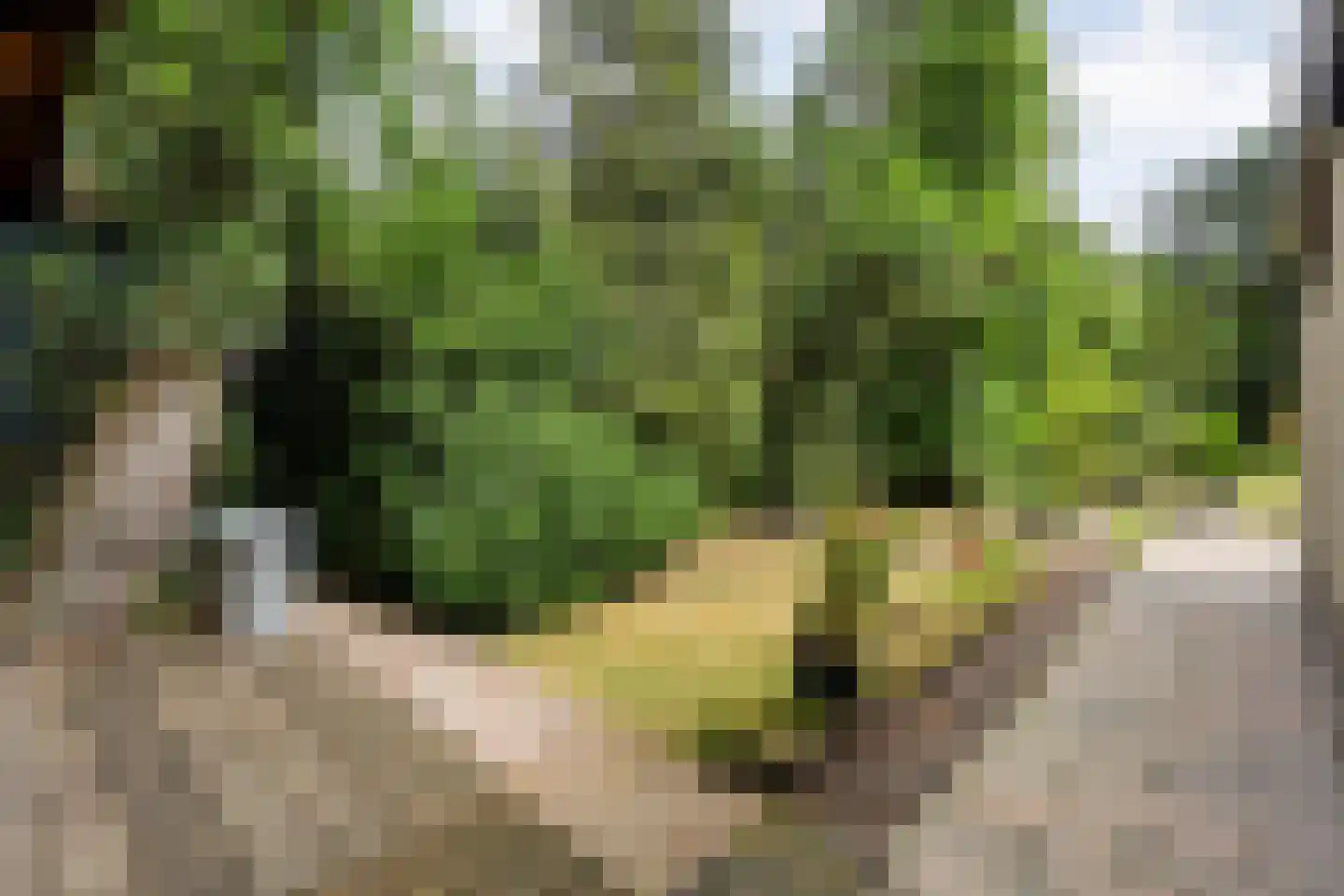 Vilsterseweg 1 A58 Vilsteren thumbnail 34