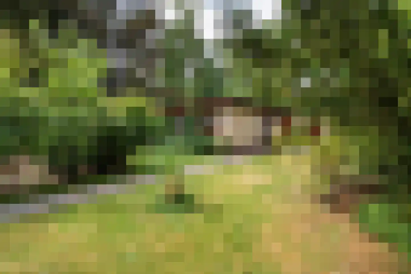 Vilsterseweg 1 A58 Vilsteren thumbnail 4