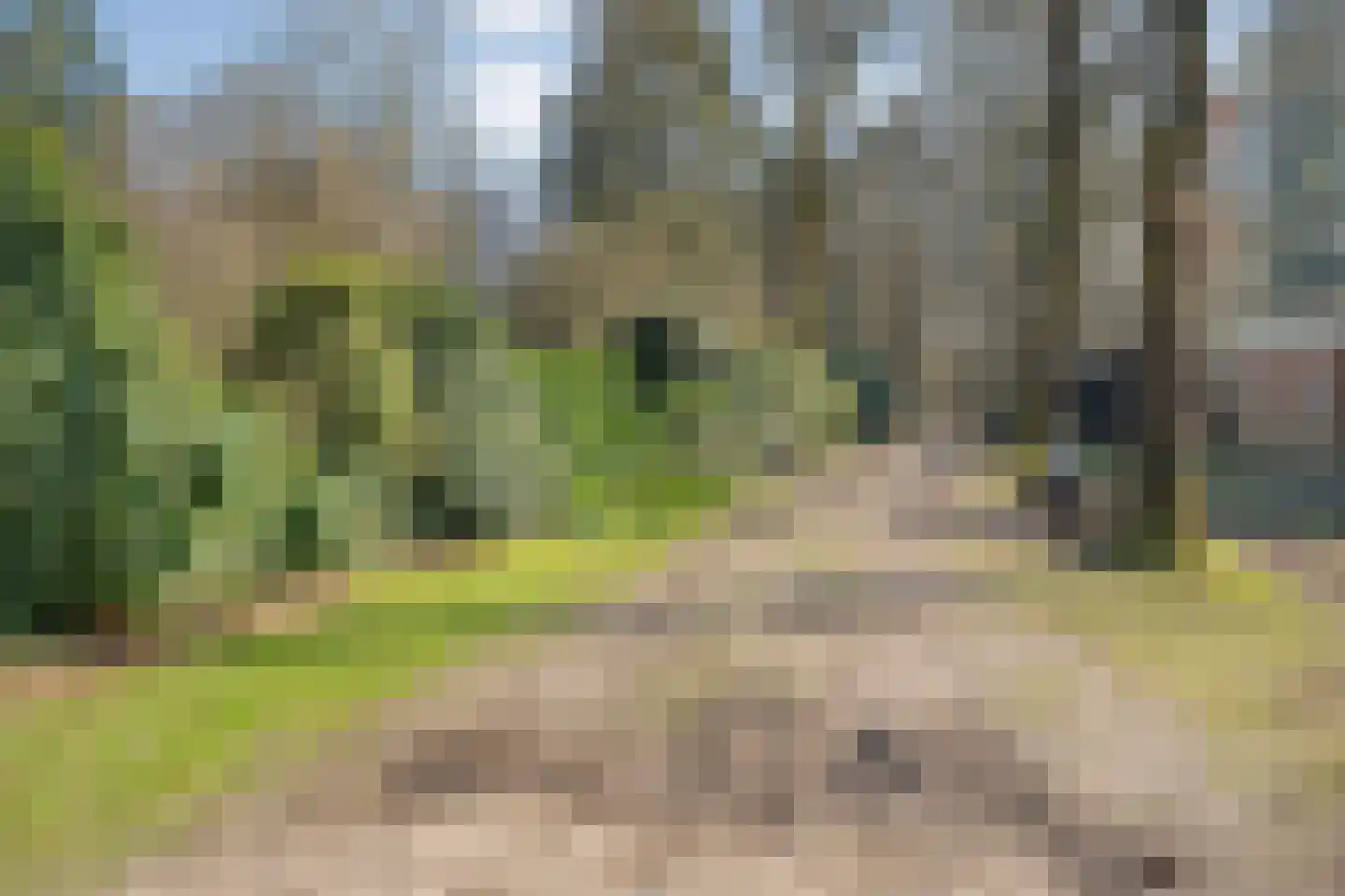 Vilsterseweg 26 Vilsteren thumbnail 40