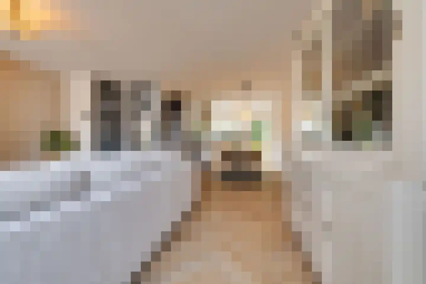 Viltmakersdonk 1 Apeldoorn thumbnail 11