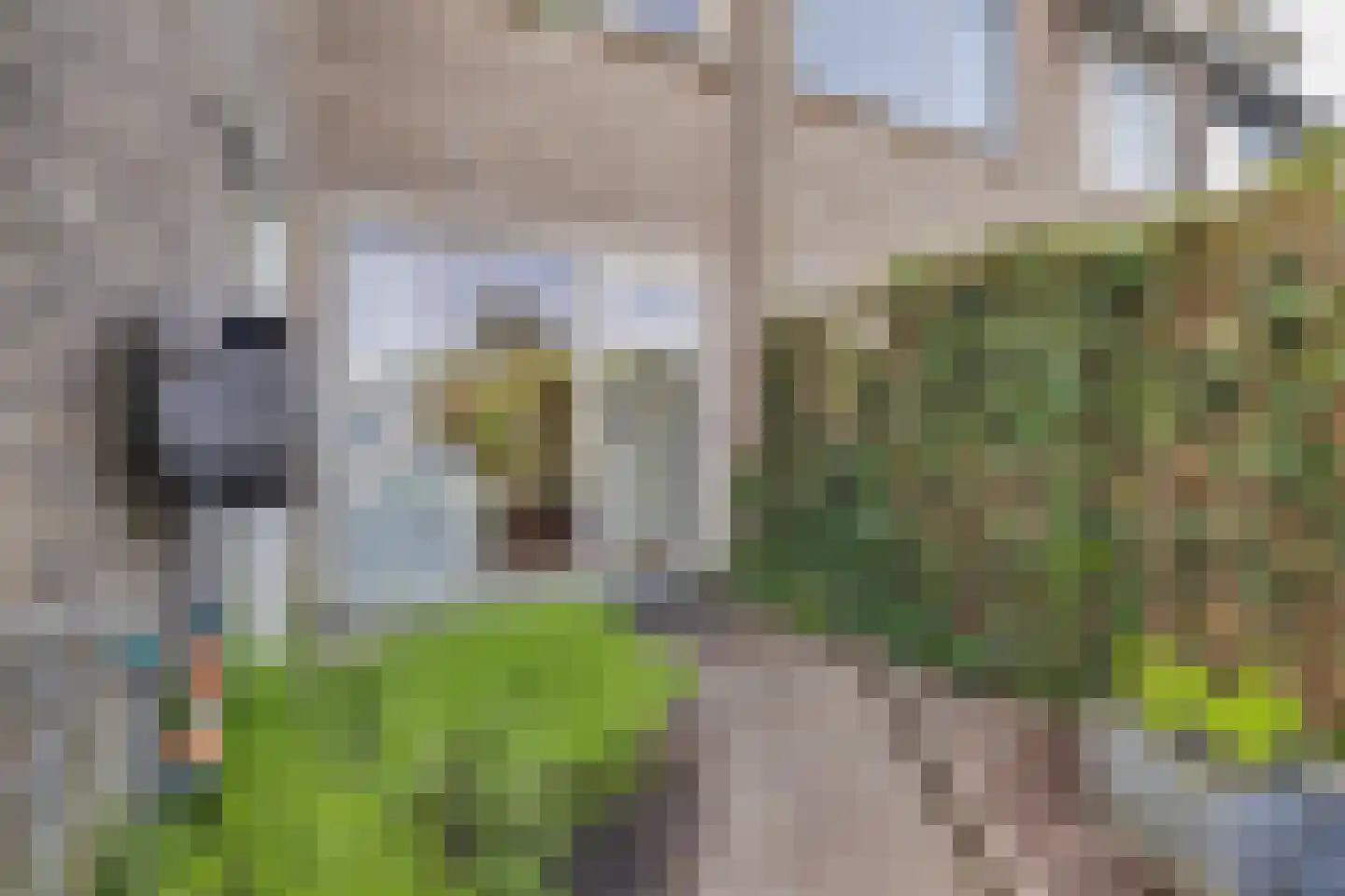 Viltmakersdonk 1 Apeldoorn thumbnail 33