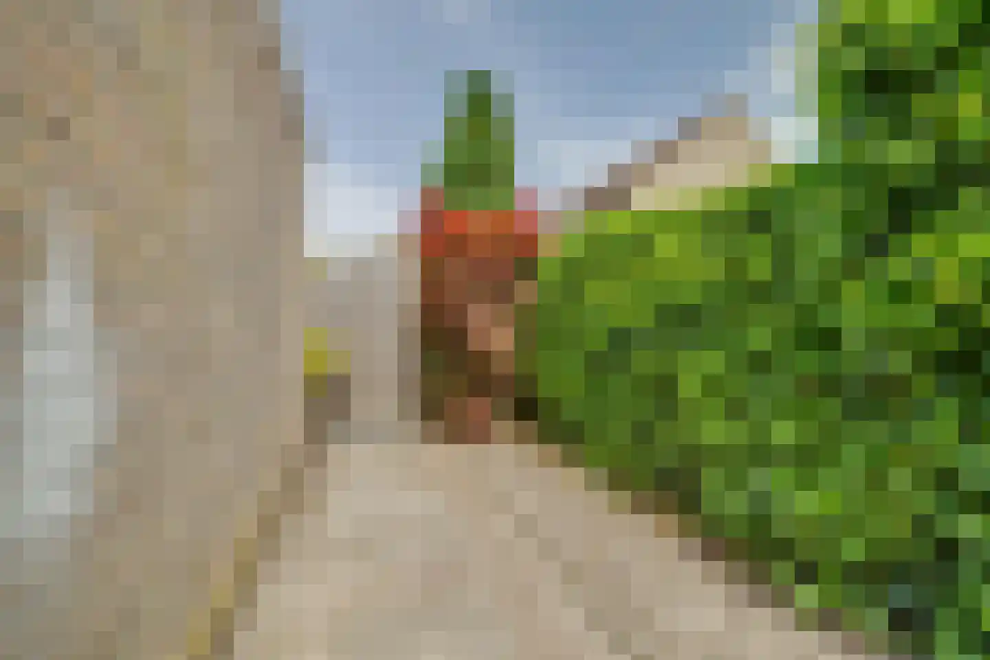 Viltmakersdonk 1 Apeldoorn thumbnail 37