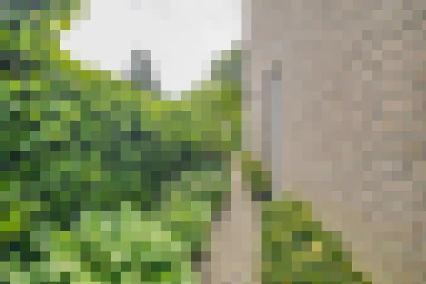 Viltmakersdonk 1 Apeldoorn thumbnail 40