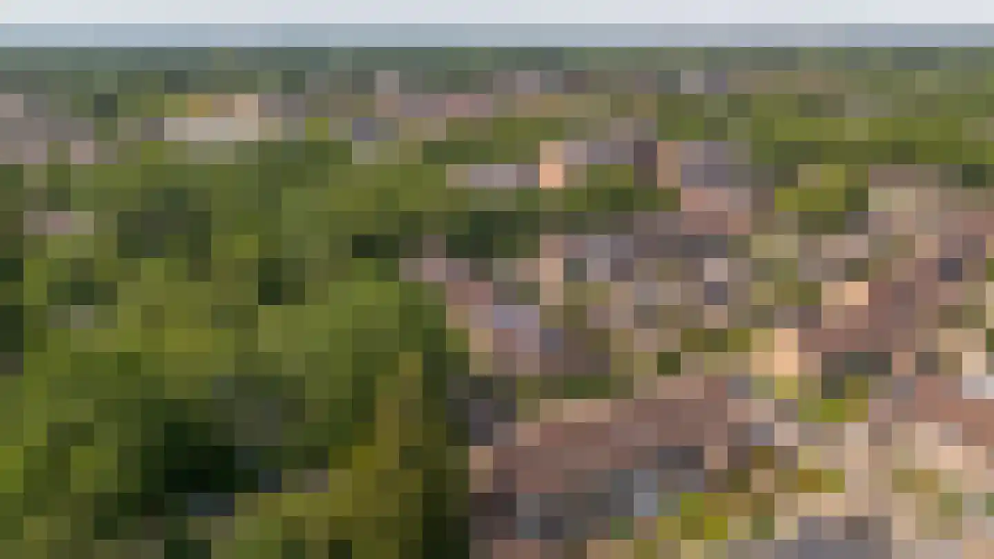 Viltmakersdonk 1 Apeldoorn thumbnail 46