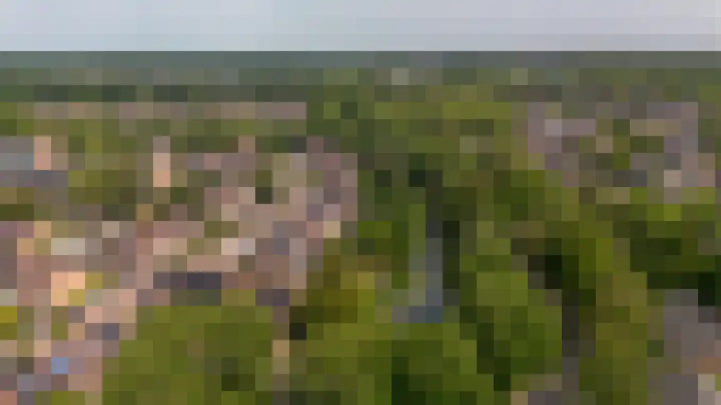Viltmakersdonk 1 Apeldoorn thumbnail 47