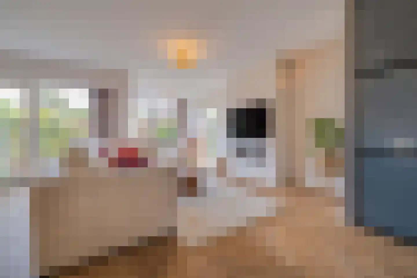 Viltmakersdonk 1 Apeldoorn thumbnail 5