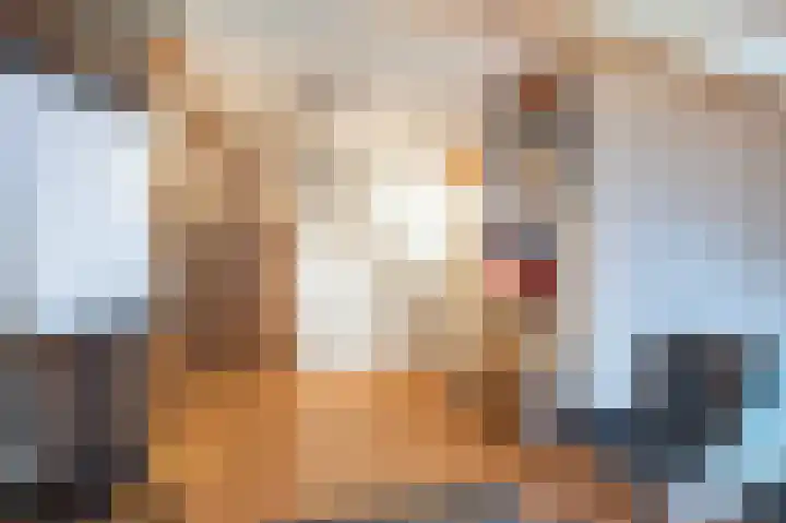 Viltmakersdonk 107 Apeldoorn thumbnail 23