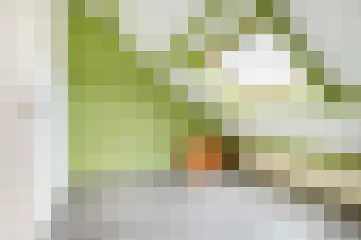Viltmakersdonk 107 Apeldoorn thumbnail 29