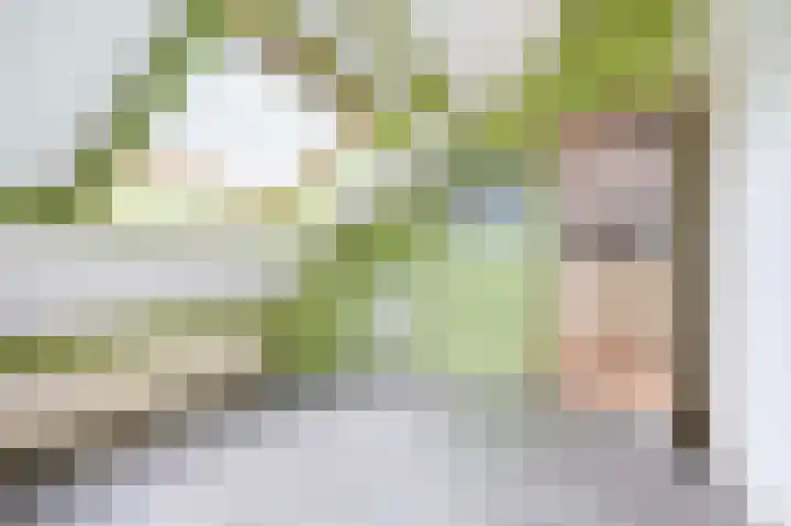 Viltmakersdonk 107 Apeldoorn thumbnail 30