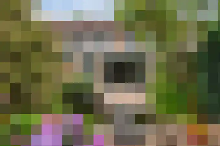 Viltmakersdonk 107 Apeldoorn thumbnail 32