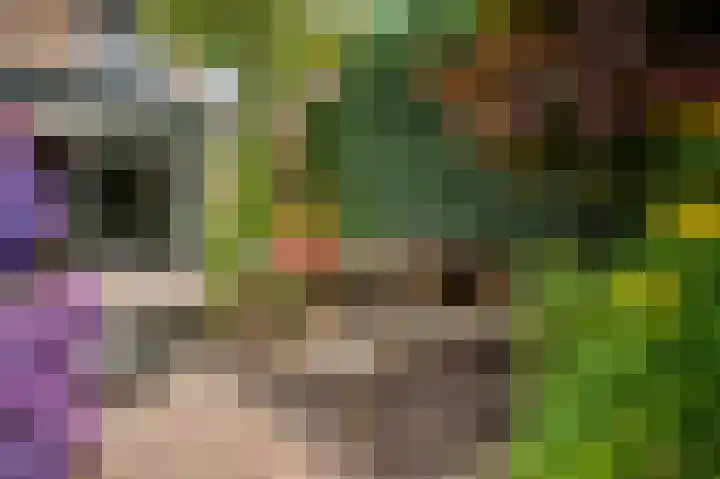 Viltmakersdonk 107 Apeldoorn thumbnail 35
