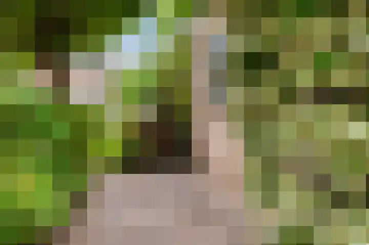 Viltmakersdonk 107 Apeldoorn thumbnail 39