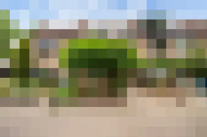 Viltmakersdonk 107 Apeldoorn thumbnail 40