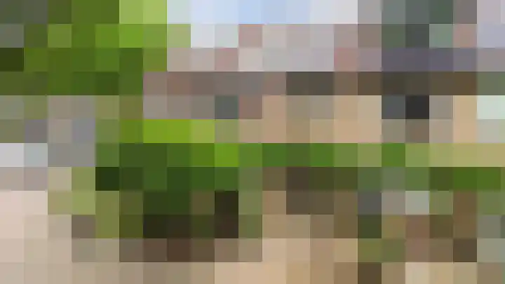 Viltmakersdonk 107 Apeldoorn thumbnail 41