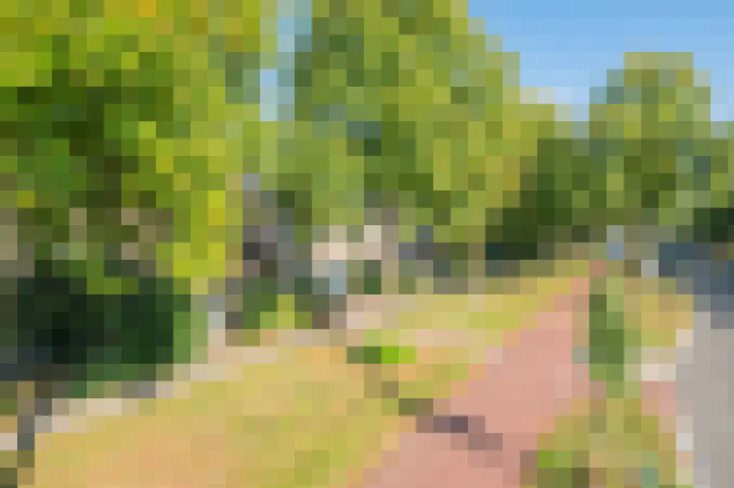 Viltmakersdonk 228 Apeldoorn thumbnail 24