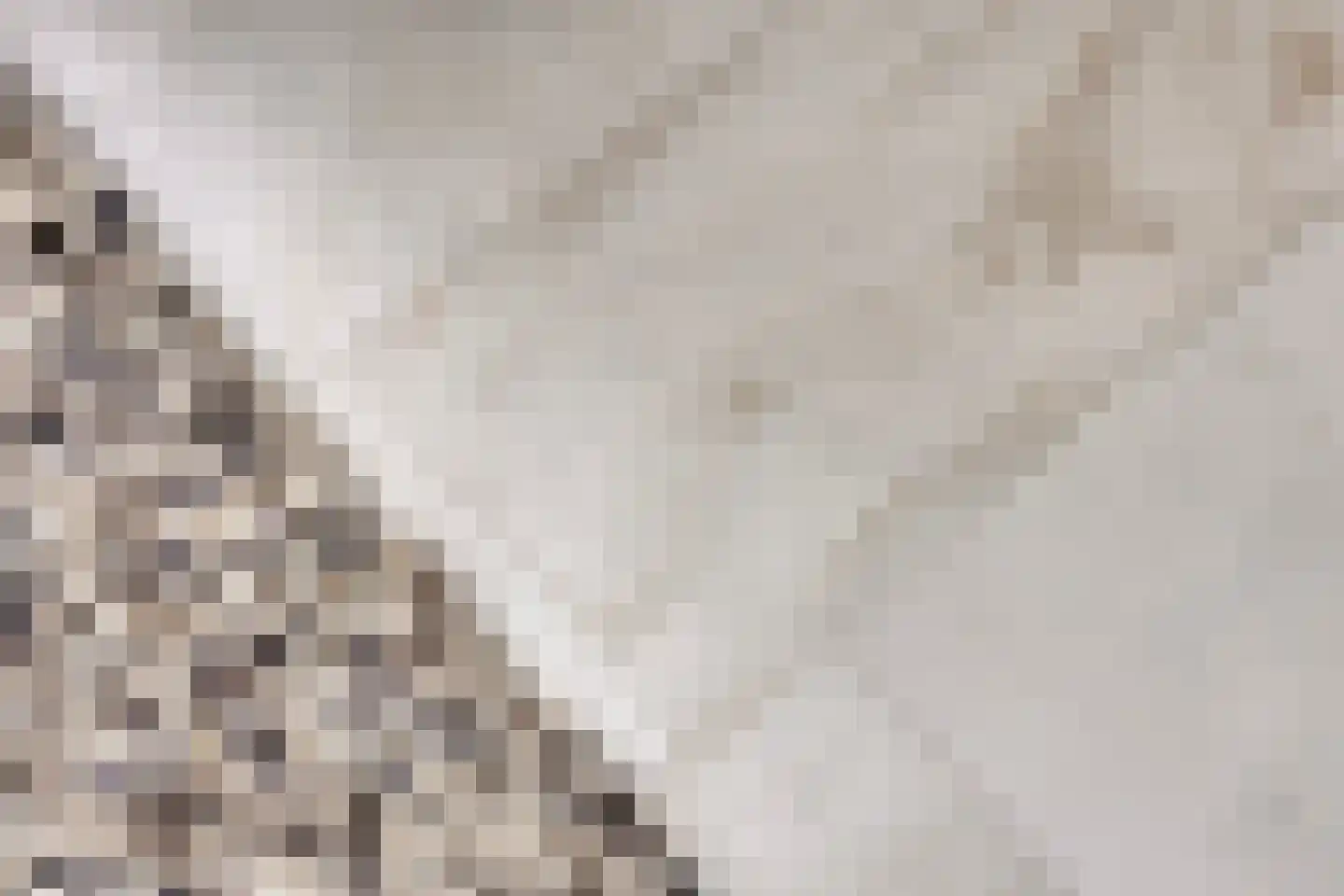 Viltroos 1 Leusden thumbnail 11