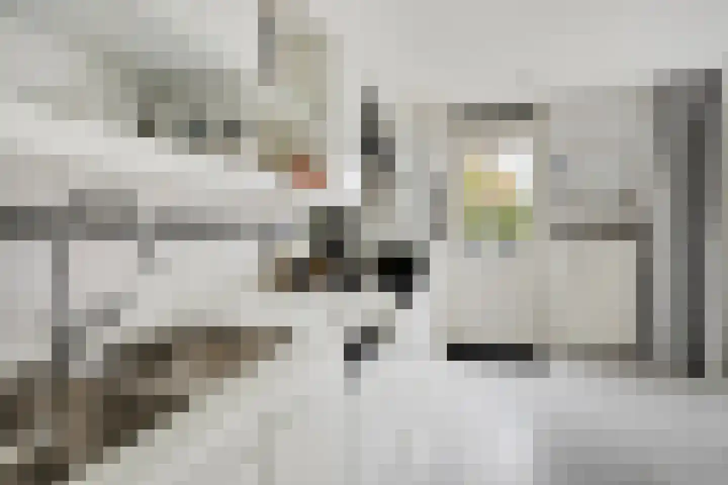 Viltroos 1 Leusden thumbnail 15