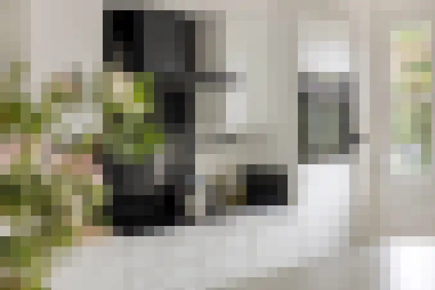 Viltroos 1 Leusden thumbnail 16