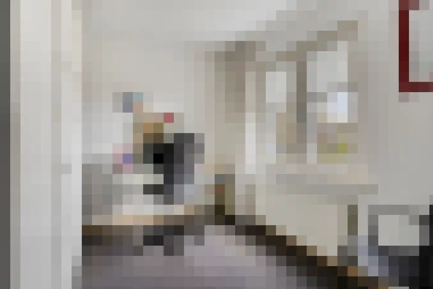 Viltroos 1 Leusden thumbnail 20