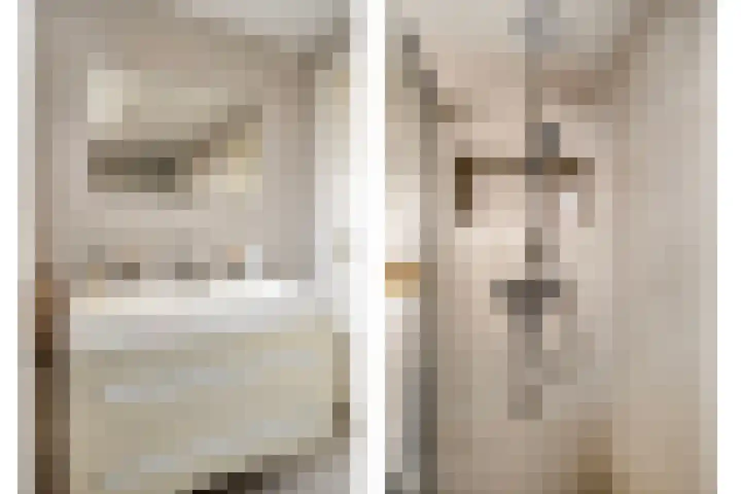 Viltroos 1 Leusden thumbnail 25