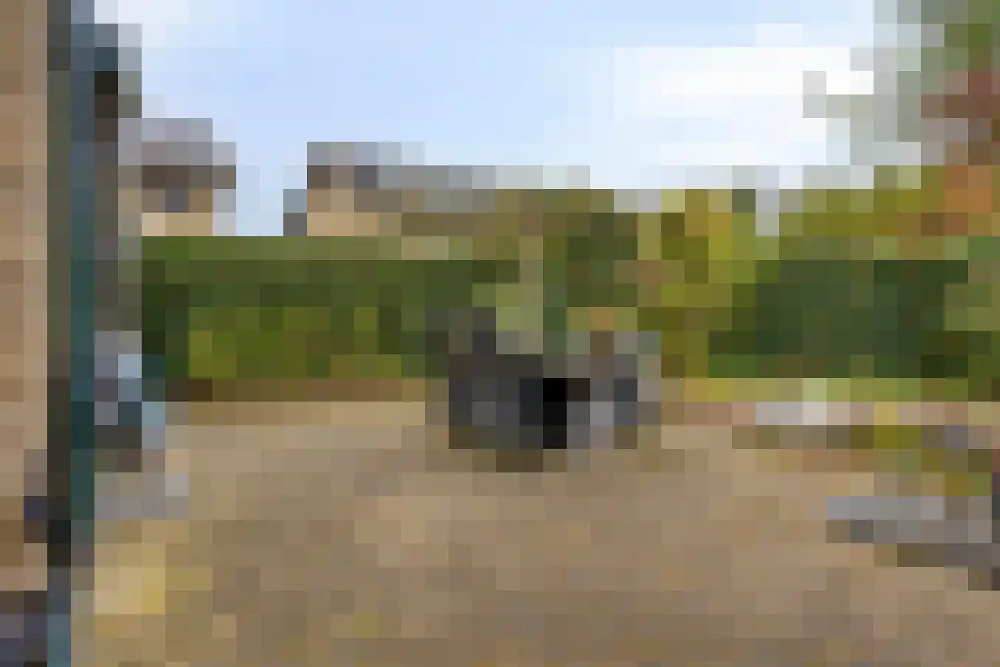 Viltroos 1 Leusden thumbnail 29