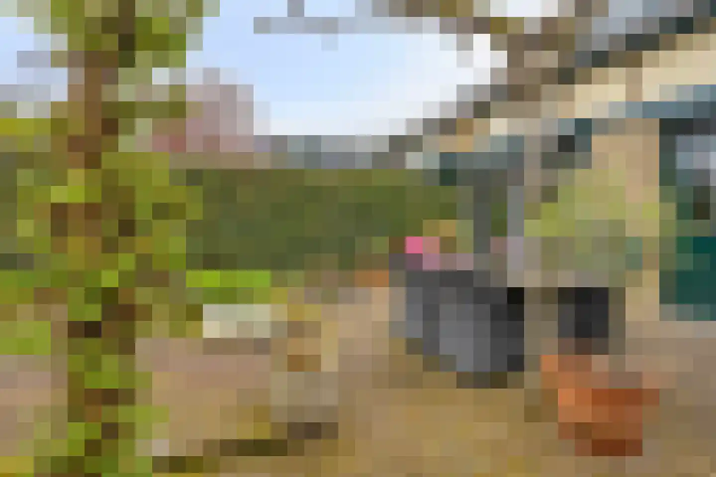 Viltroos 1 Leusden thumbnail 31