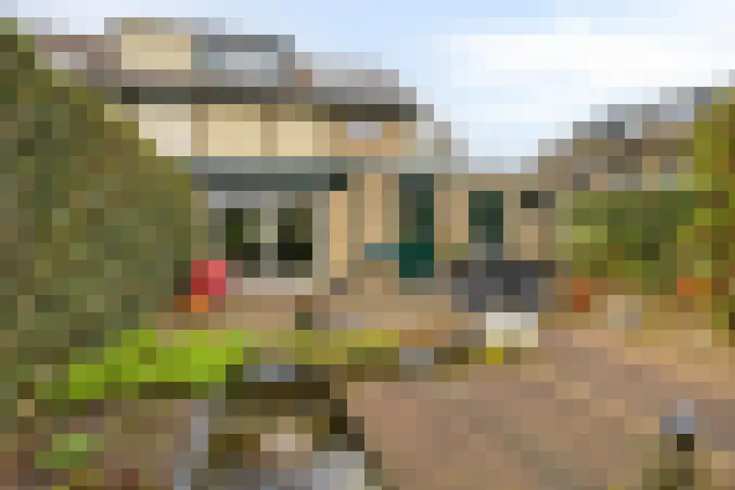 Viltroos 1 Leusden thumbnail 32
