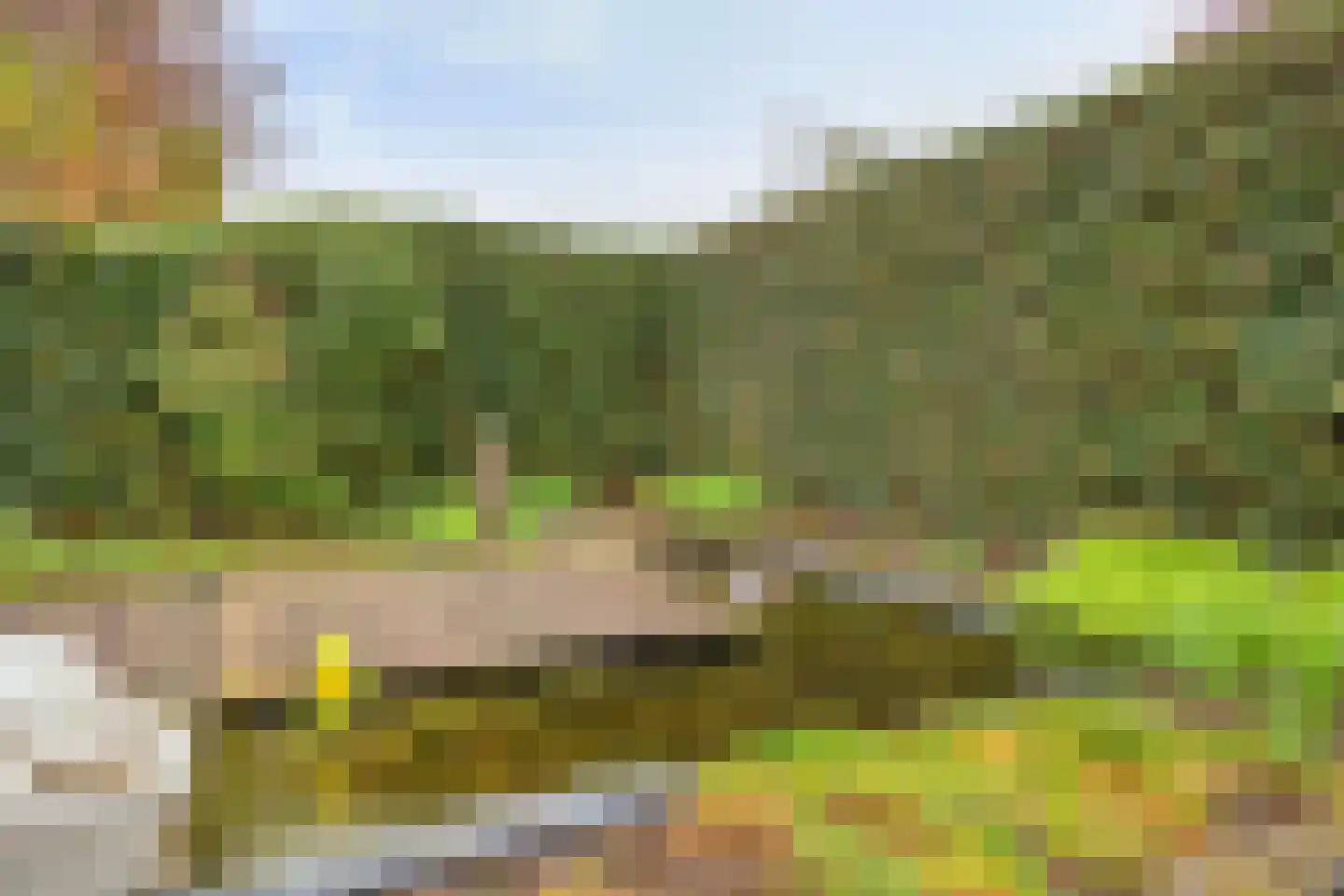 Viltroos 1 Leusden thumbnail 33