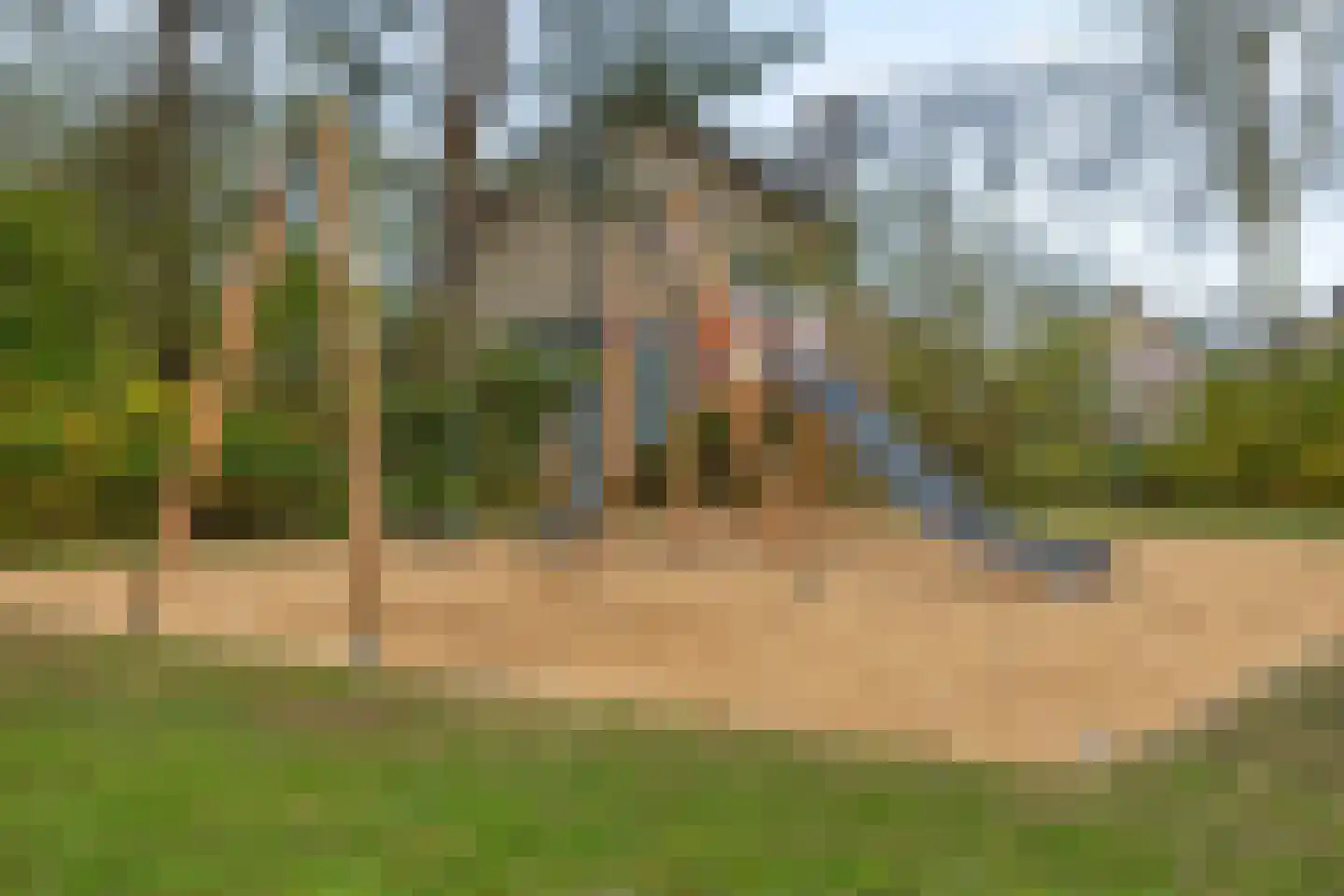 Viltroos 1 Leusden thumbnail 36