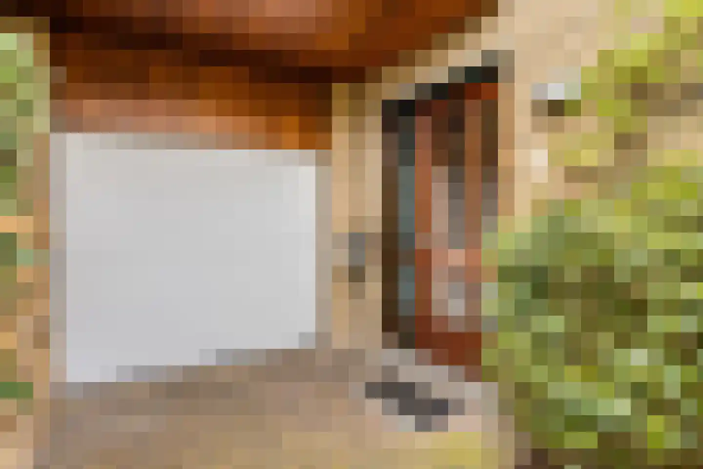 Viltroos 1 Leusden thumbnail 4