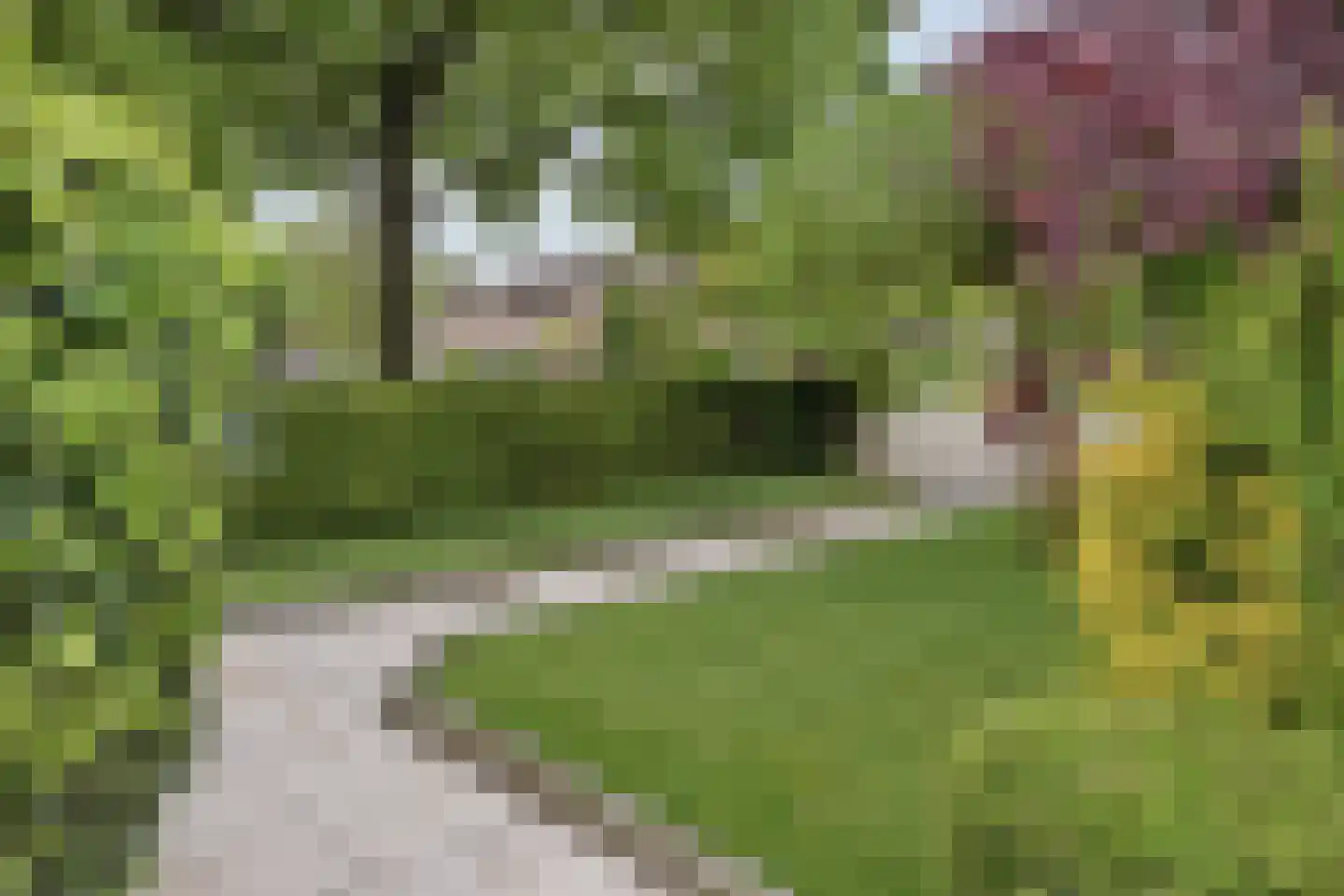 Vilvoordehof 8 Eindhoven thumbnail 10