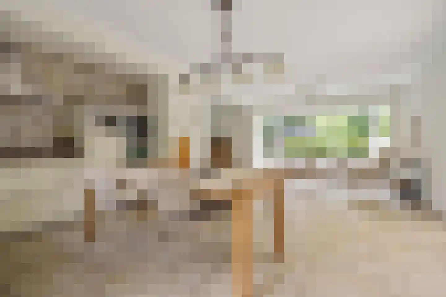 Vilvoordehof 8 Eindhoven thumbnail 10
